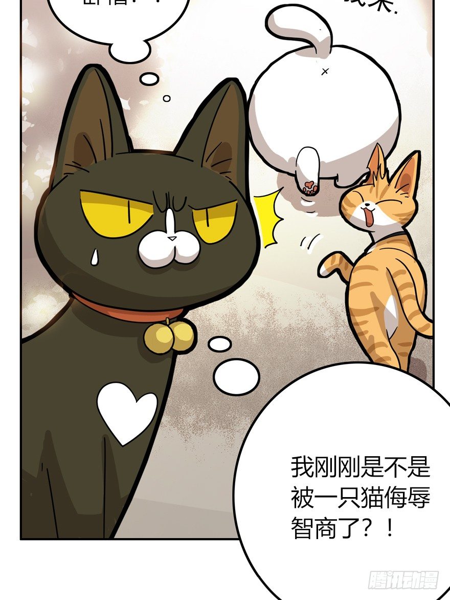 《回到过去变成猫外传》第28爪 猫圈鄙视链（上） 第17页