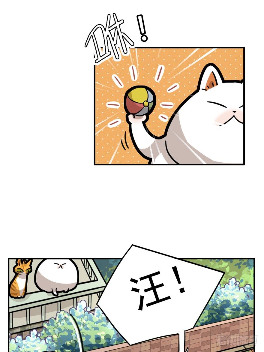 《回到过去变成猫外传》第28爪 猫圈鄙视链（上） 第20页
