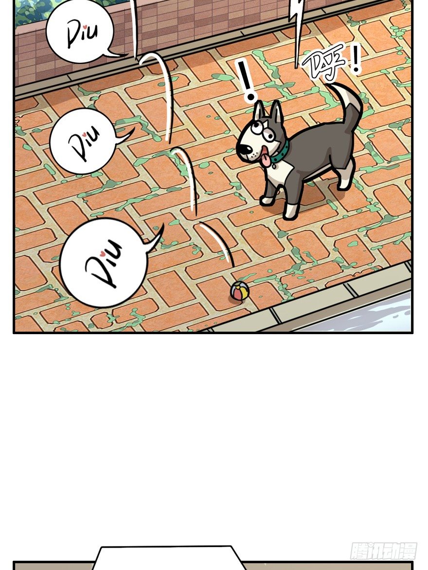 《回到过去变成猫外传》第28爪 猫圈鄙视链（上） 第21页