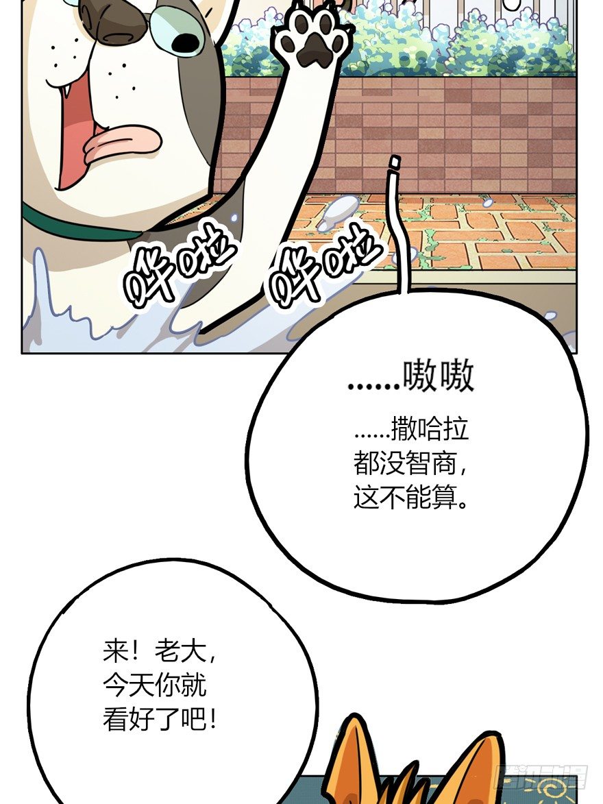 《回到过去变成猫外传》第28爪 猫圈鄙视链（上） 第24页