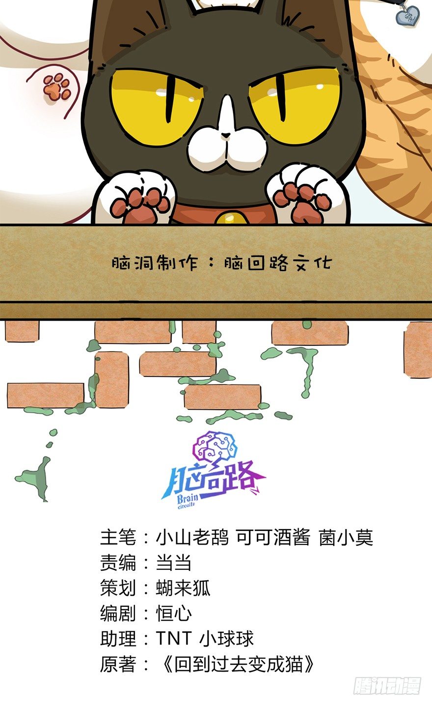 《回到过去变成猫外传》第28爪 猫圈鄙视链（上） 第2页