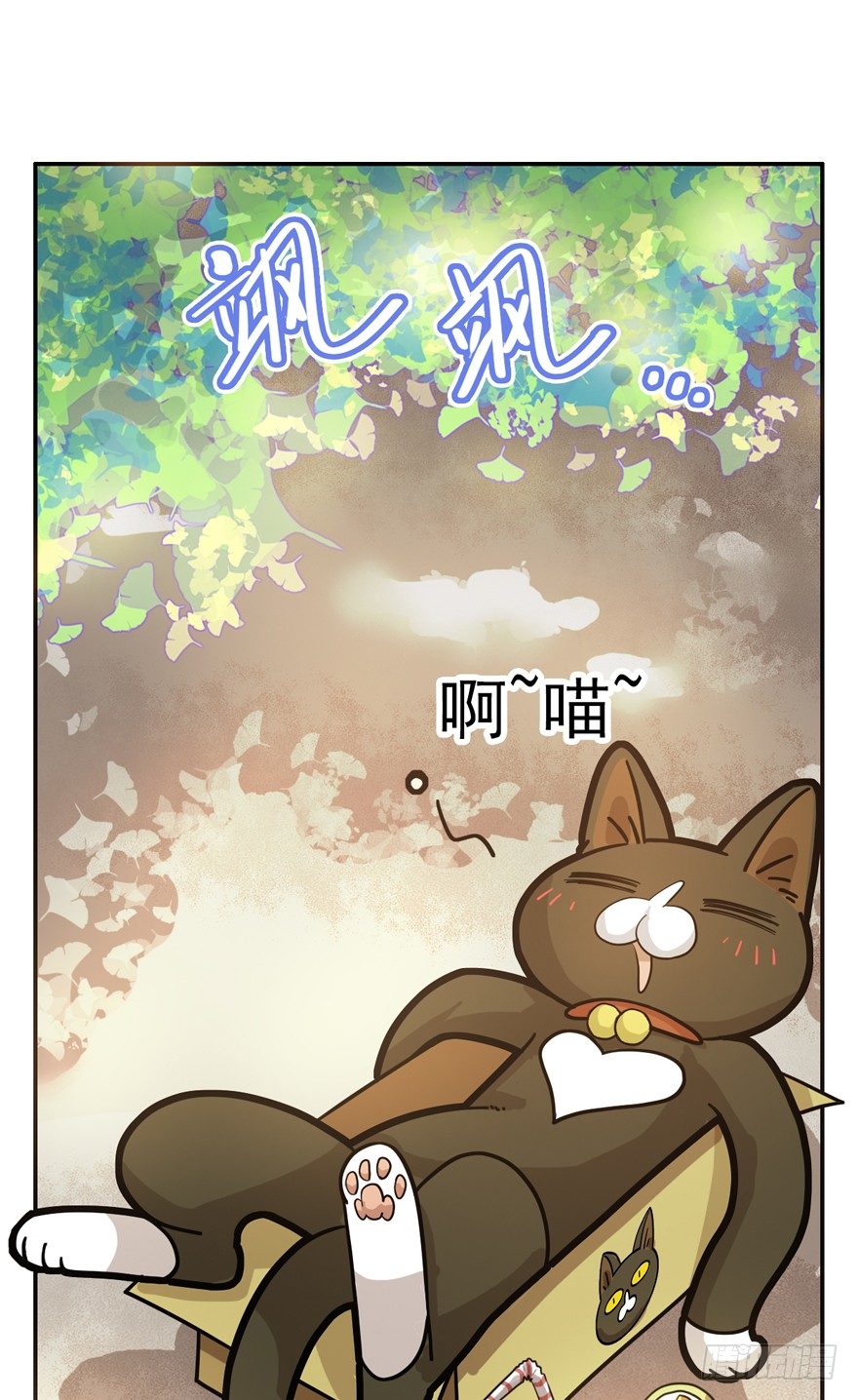 《回到过去变成猫外传》第28爪 猫圈鄙视链（上） 第3页