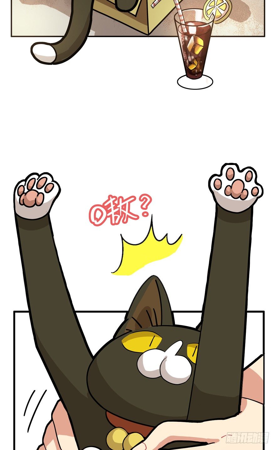 《回到过去变成猫外传》第28爪 猫圈鄙视链（上） 第4页