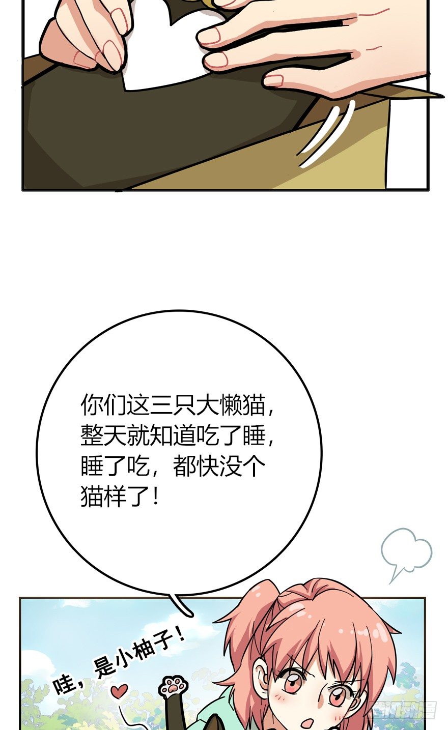 《回到过去变成猫外传》第28爪 猫圈鄙视链（上） 第5页