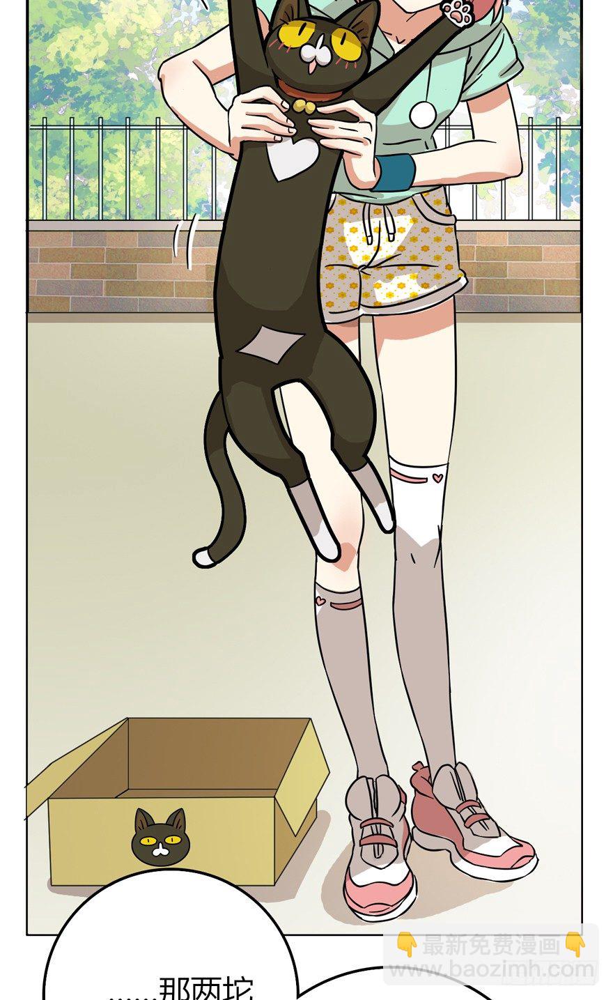 《回到过去变成猫外传》第28爪 猫圈鄙视链（上） 第6页