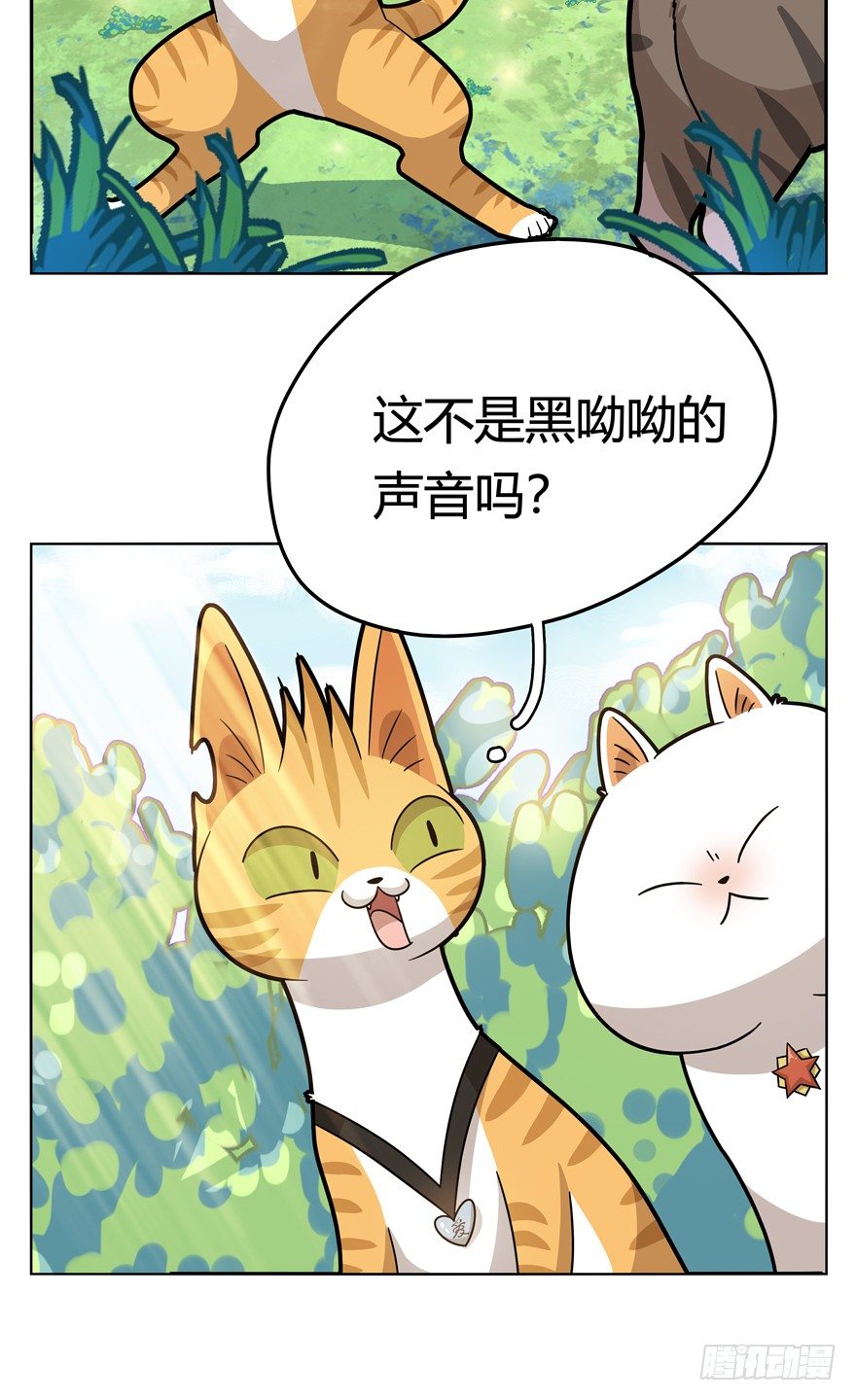 《回到过去变成猫外传》第26爪 女王大人（下） 第15页