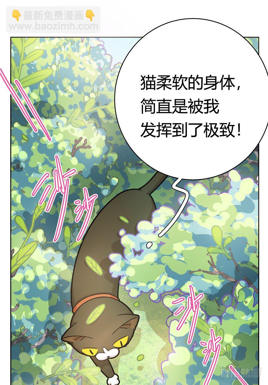 《回到过去变成猫外传》第25爪 女王大人（上） 第11页