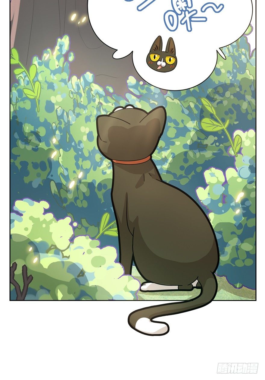 《回到过去变成猫外传》第25爪 女王大人（上） 第15页