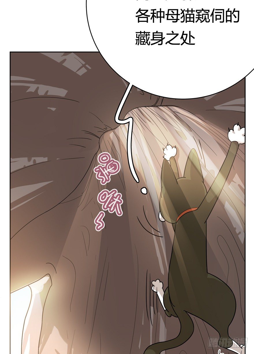 《回到过去变成猫外传》第25爪 女王大人（上） 第17页