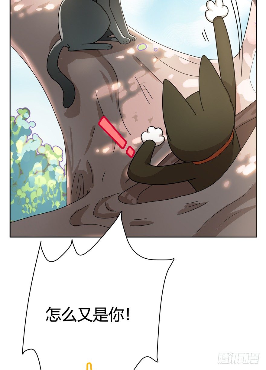 《回到过去变成猫外传》第25爪 女王大人（上） 第19页