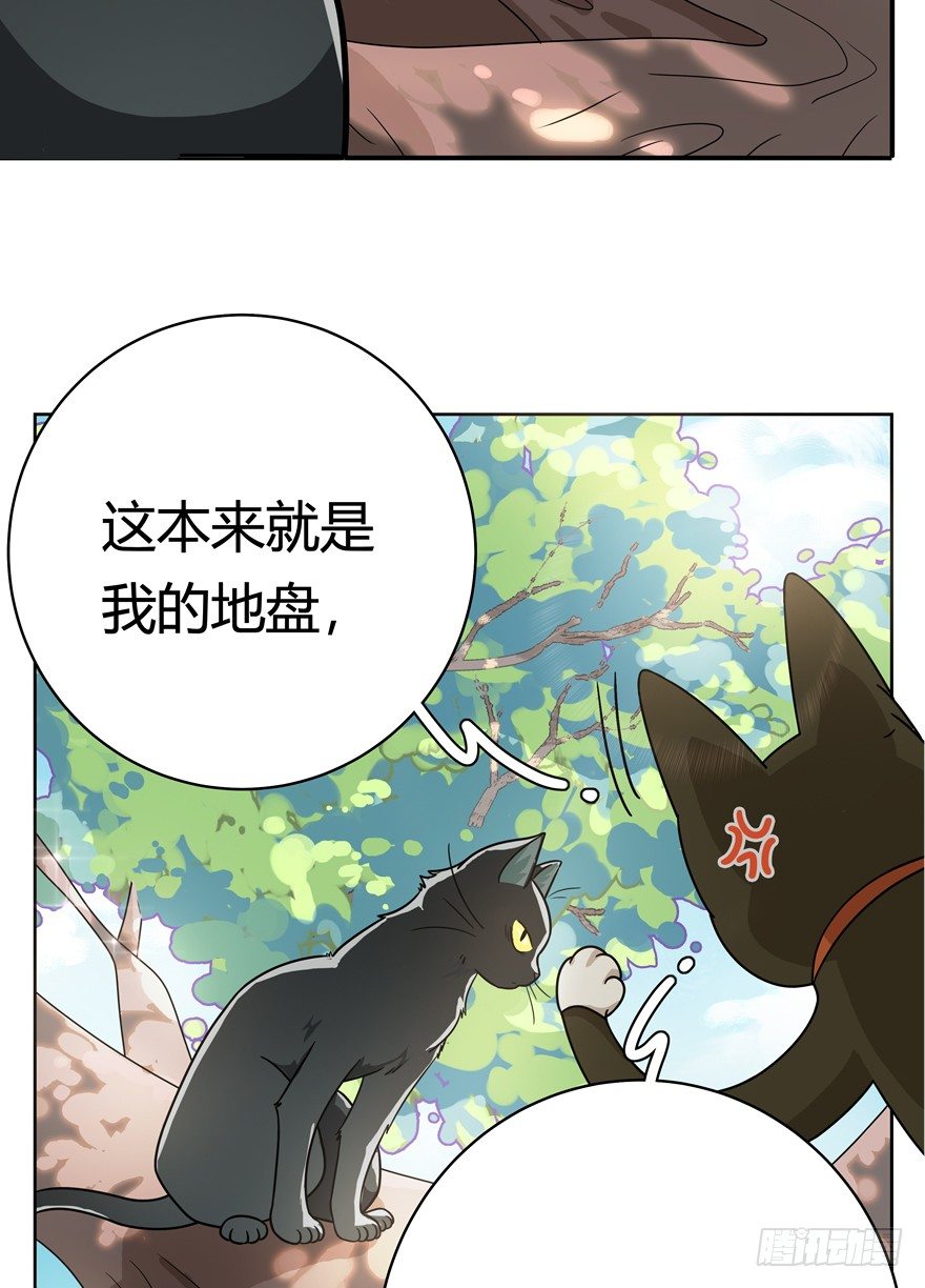 《回到过去变成猫外传》第25爪 女王大人（上） 第21页
