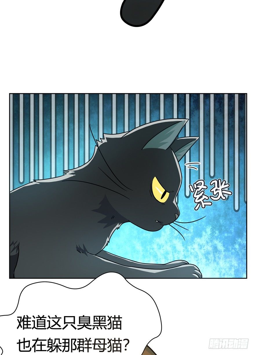 《回到过去变成猫外传》第25爪 女王大人（上） 第24页