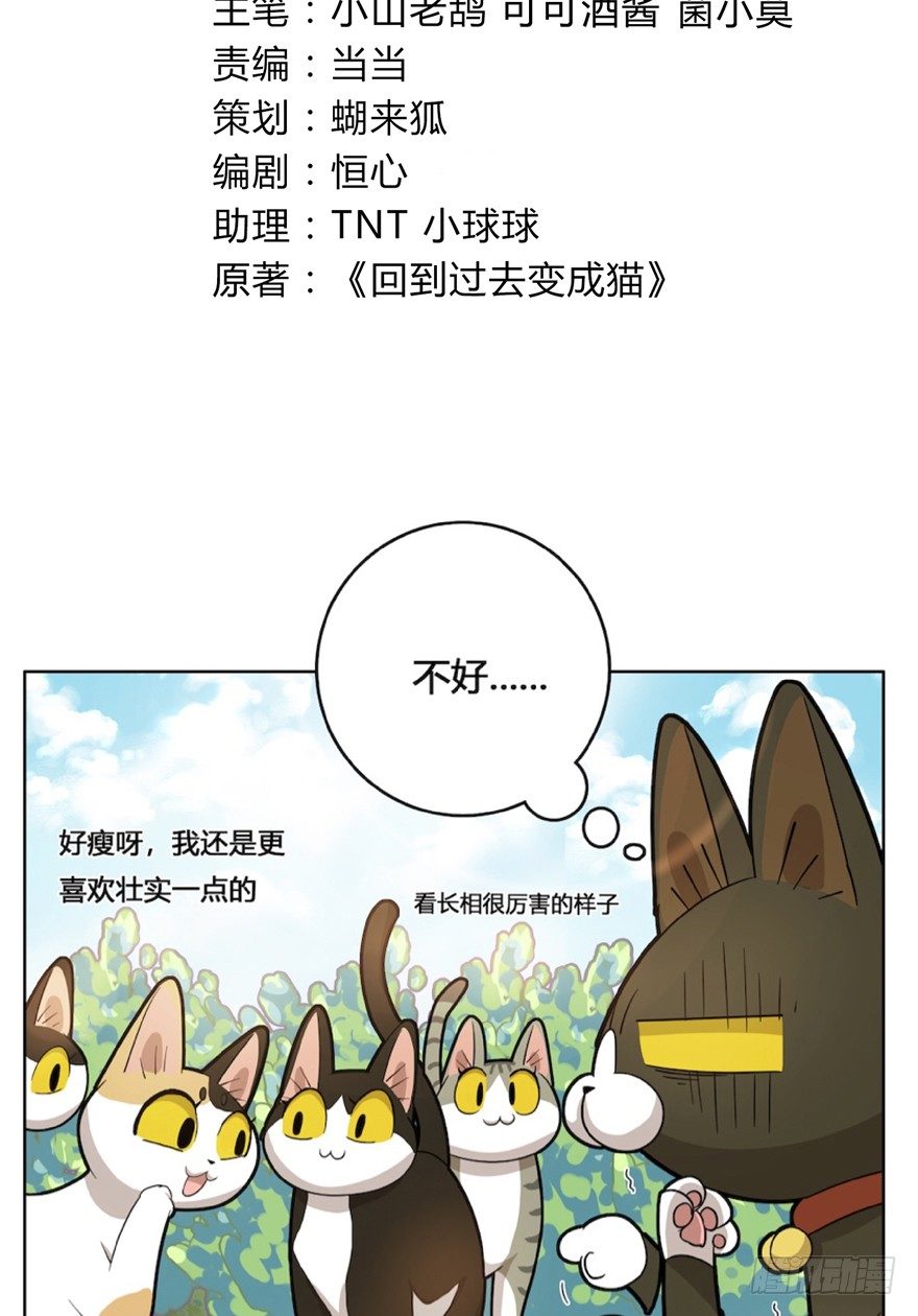 《回到过去变成猫外传》第25爪 女王大人（上） 第3页