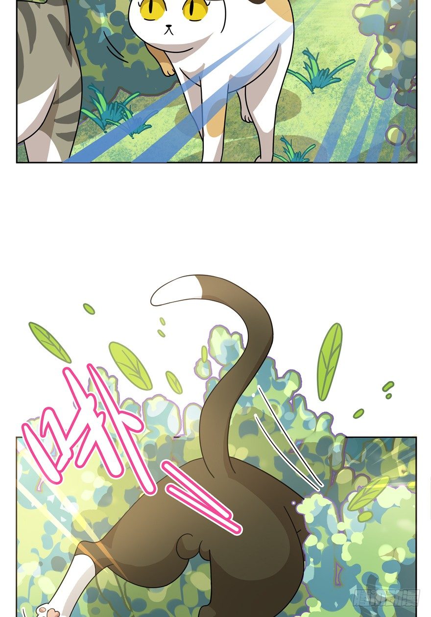 《回到过去变成猫外传》第25爪 女王大人（上） 第8页