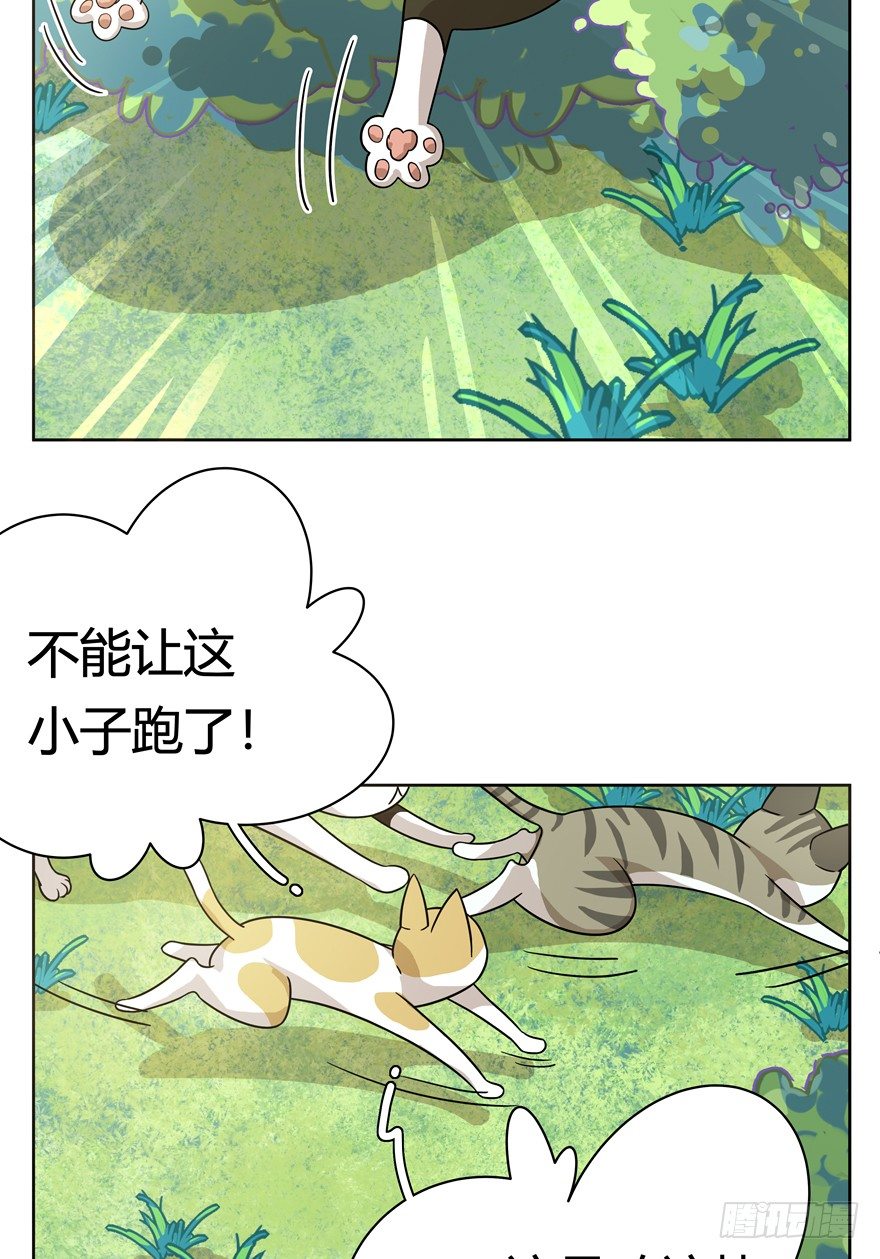 《回到过去变成猫外传》第25爪 女王大人（上） 第9页