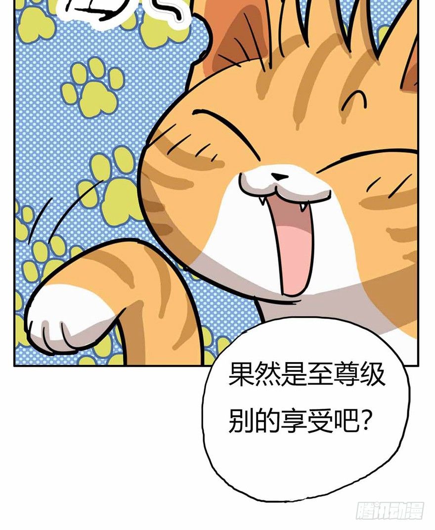 《回到过去变成猫外传》第27爪 猫之结界 第19页