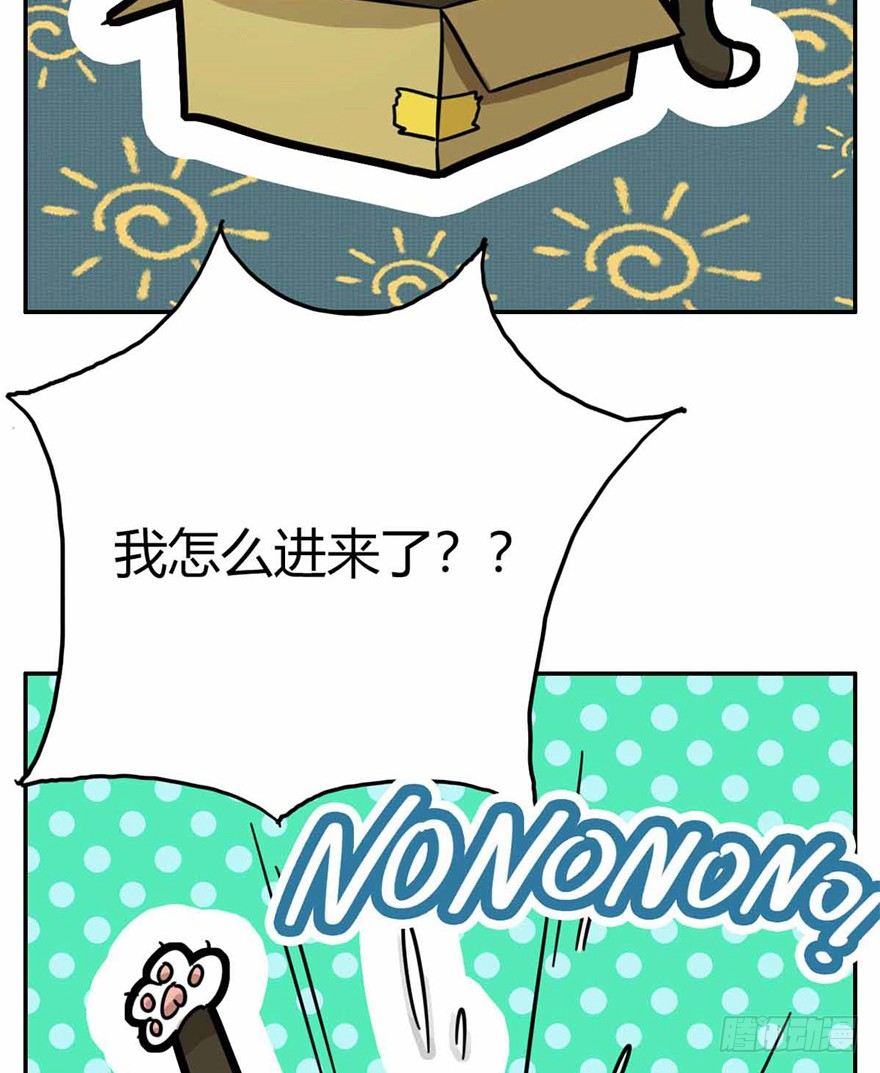 《回到过去变成猫外传》第27爪 猫之结界 第21页