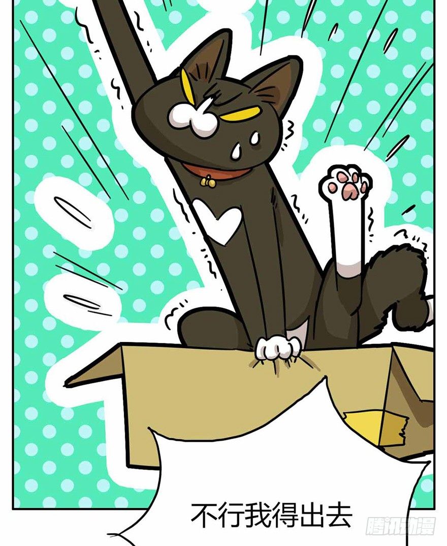 《回到过去变成猫外传》第27爪 猫之结界 第22页