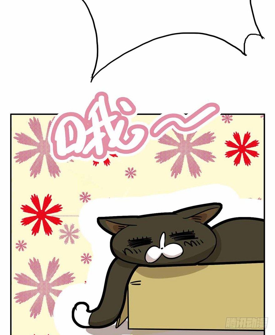 《回到过去变成猫外传》第27爪 猫之结界 第23页