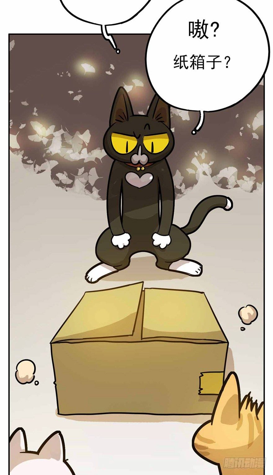 《回到过去变成猫外传》第27爪 猫之结界 第5页