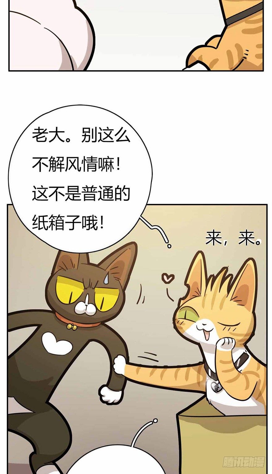 《回到过去变成猫外传》第27爪 猫之结界 第6页