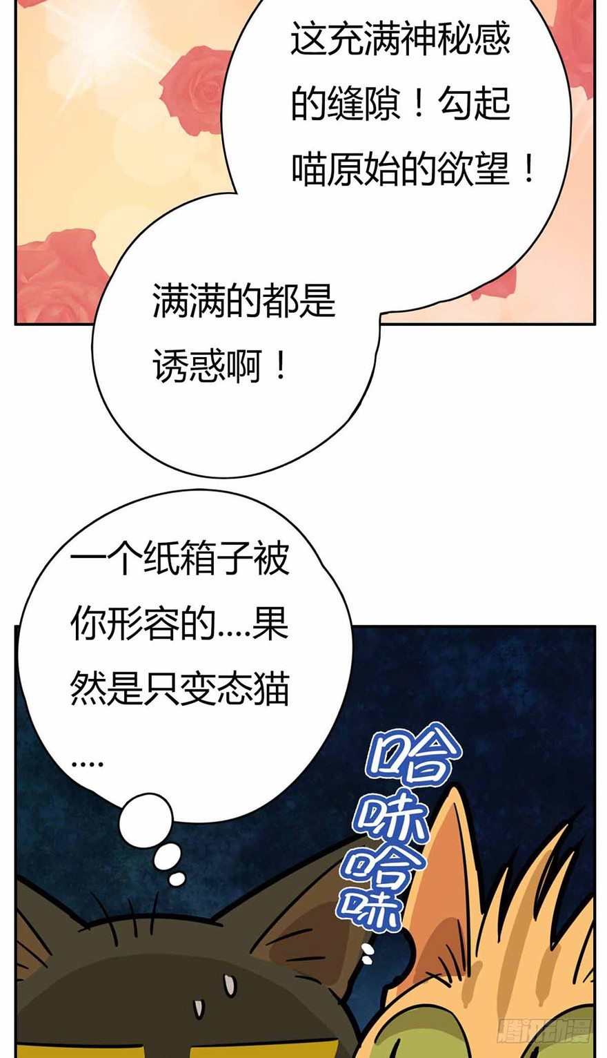 《回到过去变成猫外传》第27爪 猫之结界 第8页