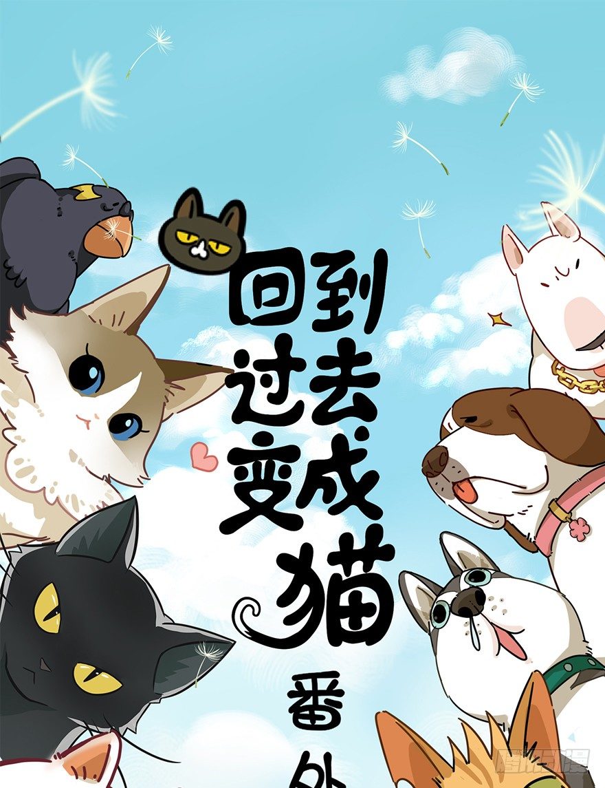 《回到过去变成猫外传》第32爪 活学活用（下） 第1页