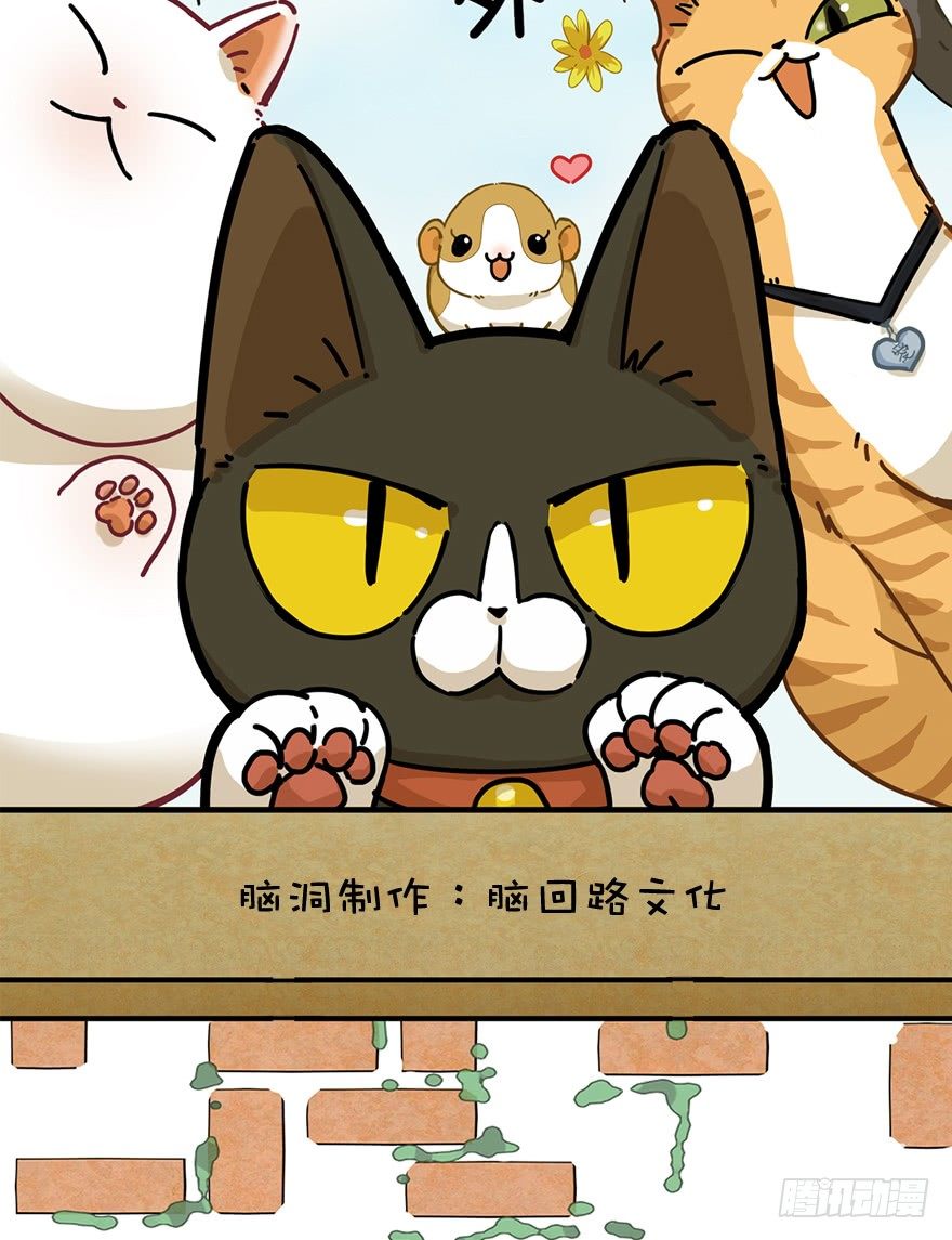 《回到过去变成猫外传》第32爪 活学活用（下） 第2页