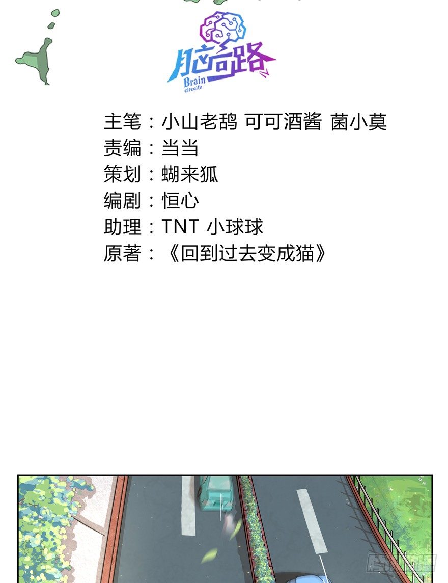 《回到过去变成猫外传》第32爪 活学活用（下） 第3页