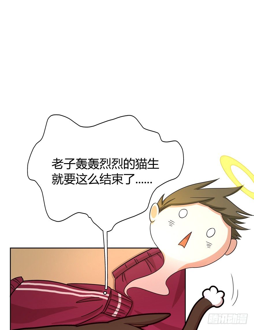《回到过去变成猫外传》第32爪 活学活用（下） 第9页