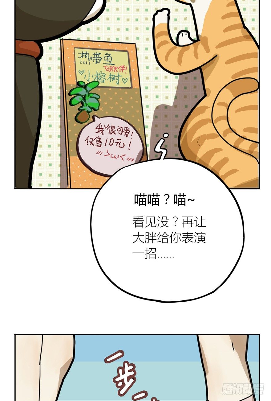 《回到过去变成猫外传》第29爪 猫圈鄙视链（下） 第10页