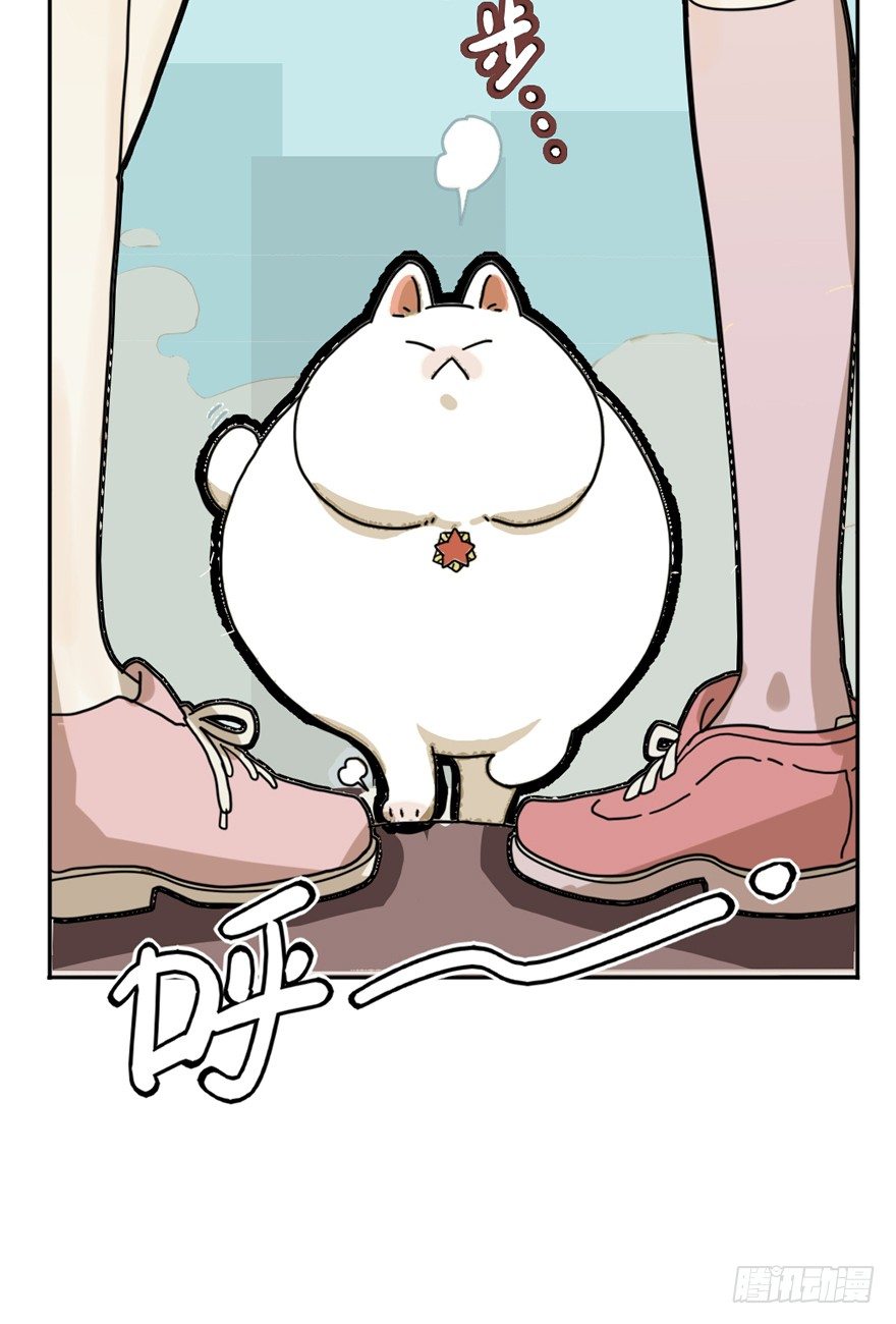 《回到过去变成猫外传》第29爪 猫圈鄙视链（下） 第11页