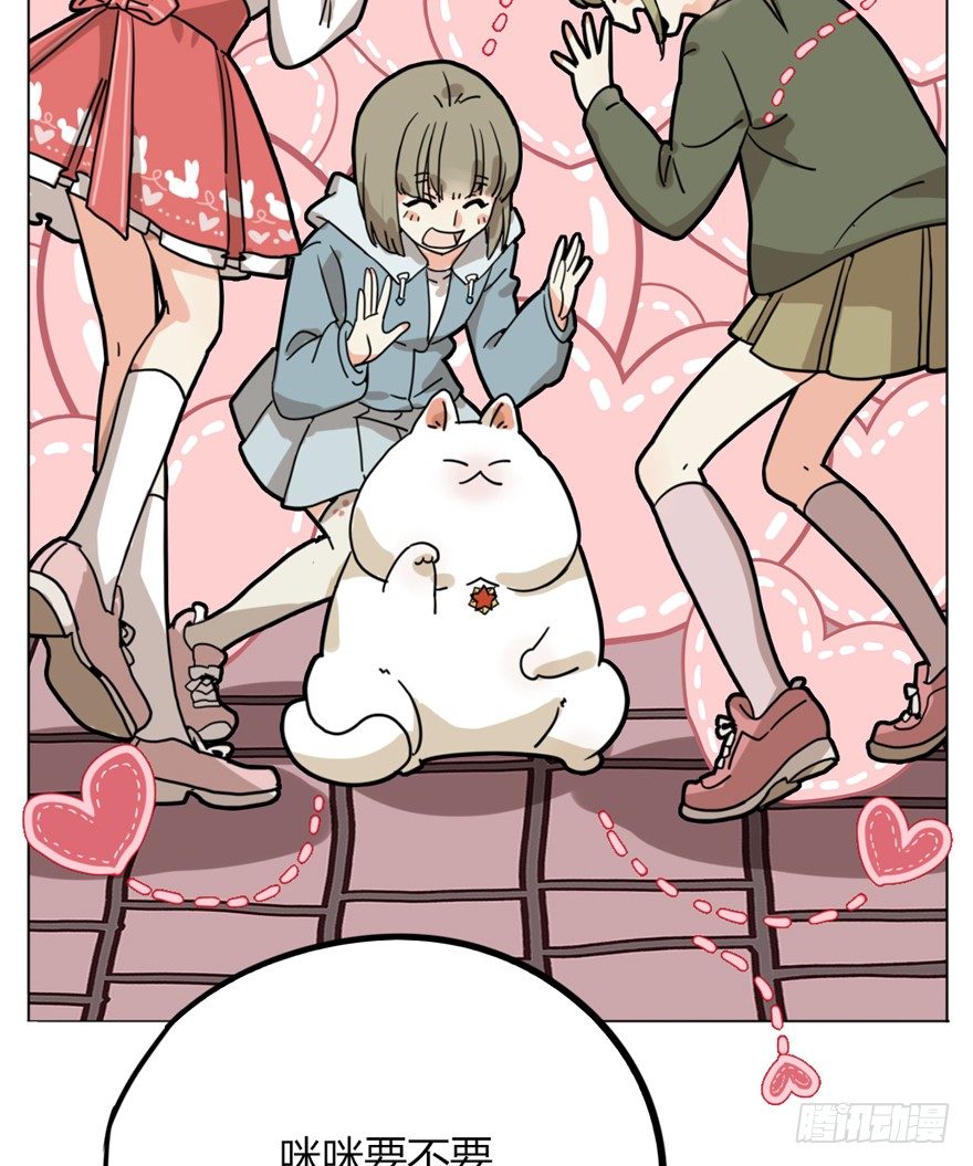 《回到过去变成猫外传》第29爪 猫圈鄙视链（下） 第17页