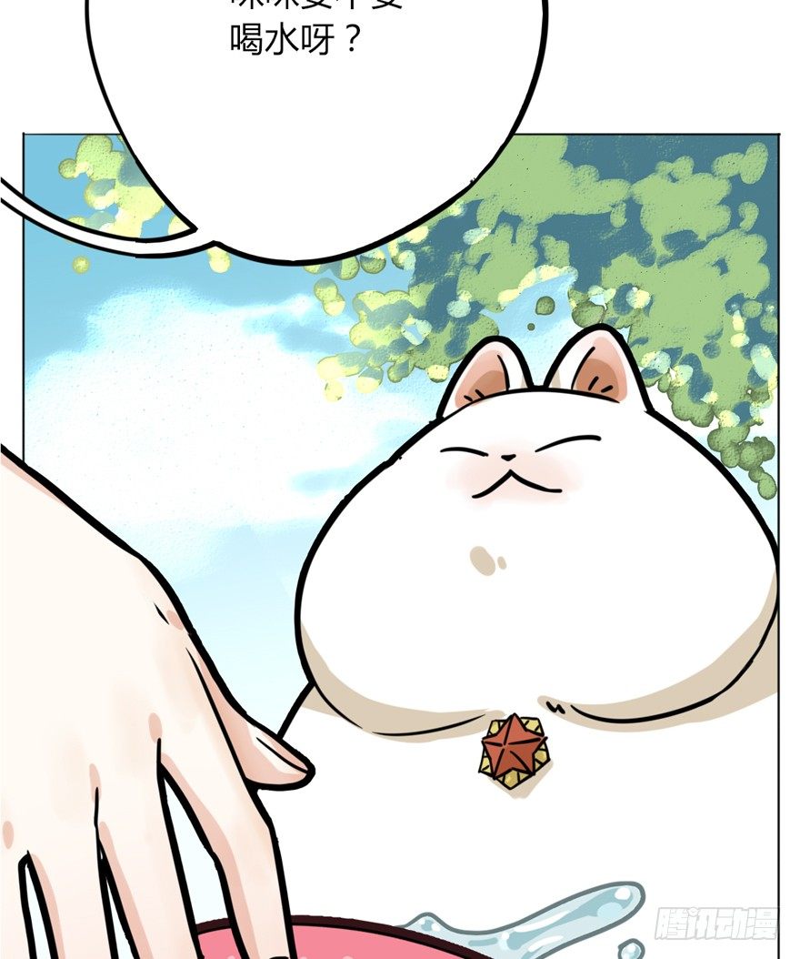 《回到过去变成猫外传》第29爪 猫圈鄙视链（下） 第18页