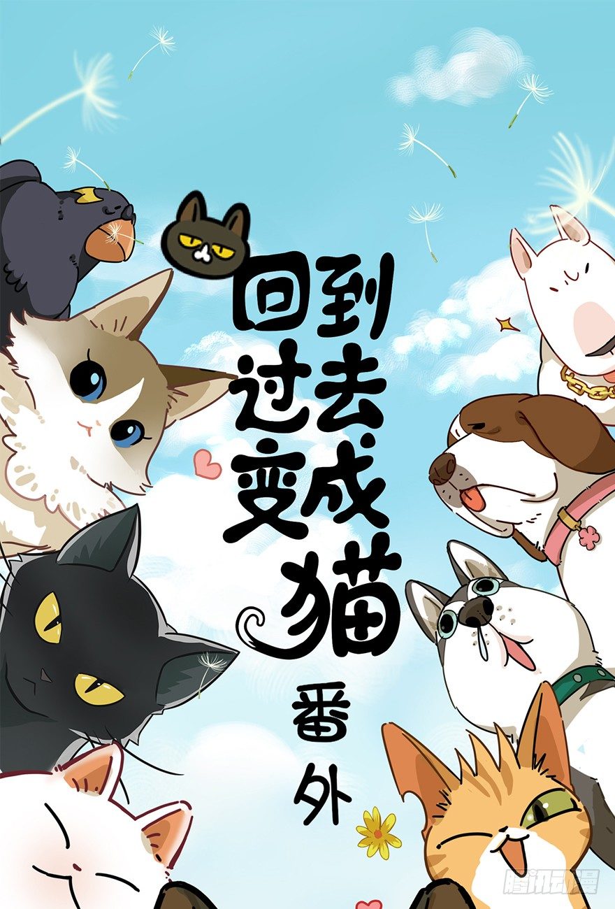 《回到过去变成猫外传》第29爪 猫圈鄙视链（下） 第1页
