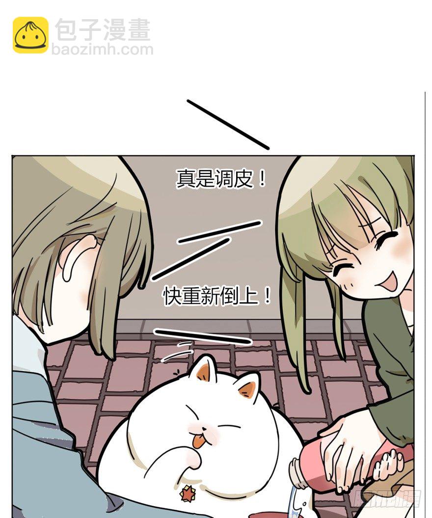 《回到过去变成猫外传》第29爪 猫圈鄙视链（下） 第21页