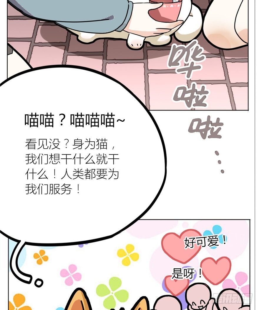 《回到过去变成猫外传》第29爪 猫圈鄙视链（下） 第22页