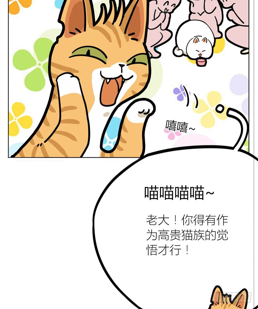 《回到过去变成猫外传》第29爪 猫圈鄙视链（下） 第23页