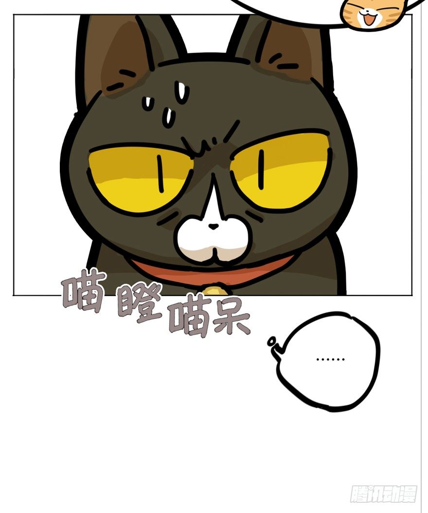 《回到过去变成猫外传》第29爪 猫圈鄙视链（下） 第24页