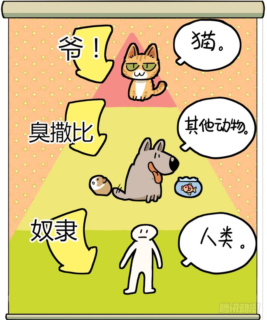 《回到过去变成猫外传》第29爪 猫圈鄙视链（下） 第25页