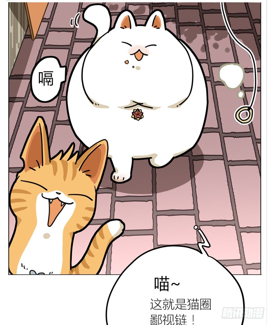 《回到过去变成猫外传》第29爪 猫圈鄙视链（下） 第26页