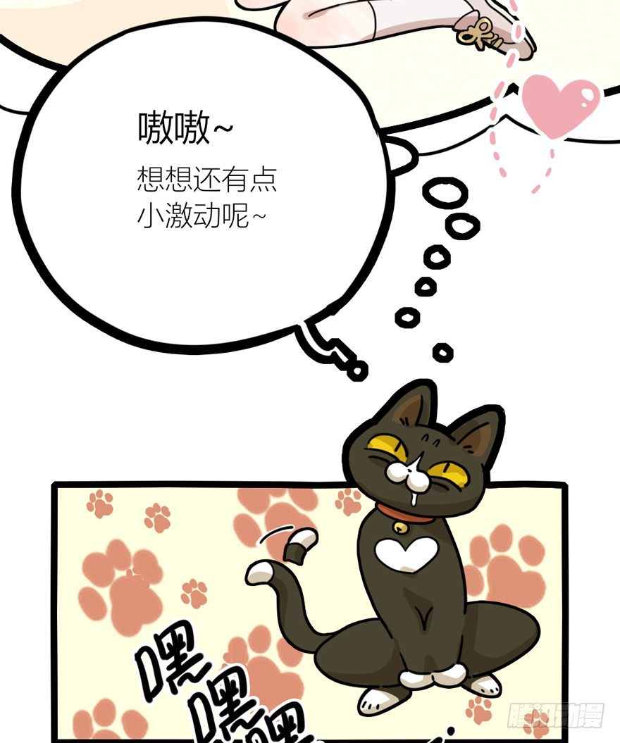 《回到过去变成猫外传》第29爪 猫圈鄙视链（下） 第29页