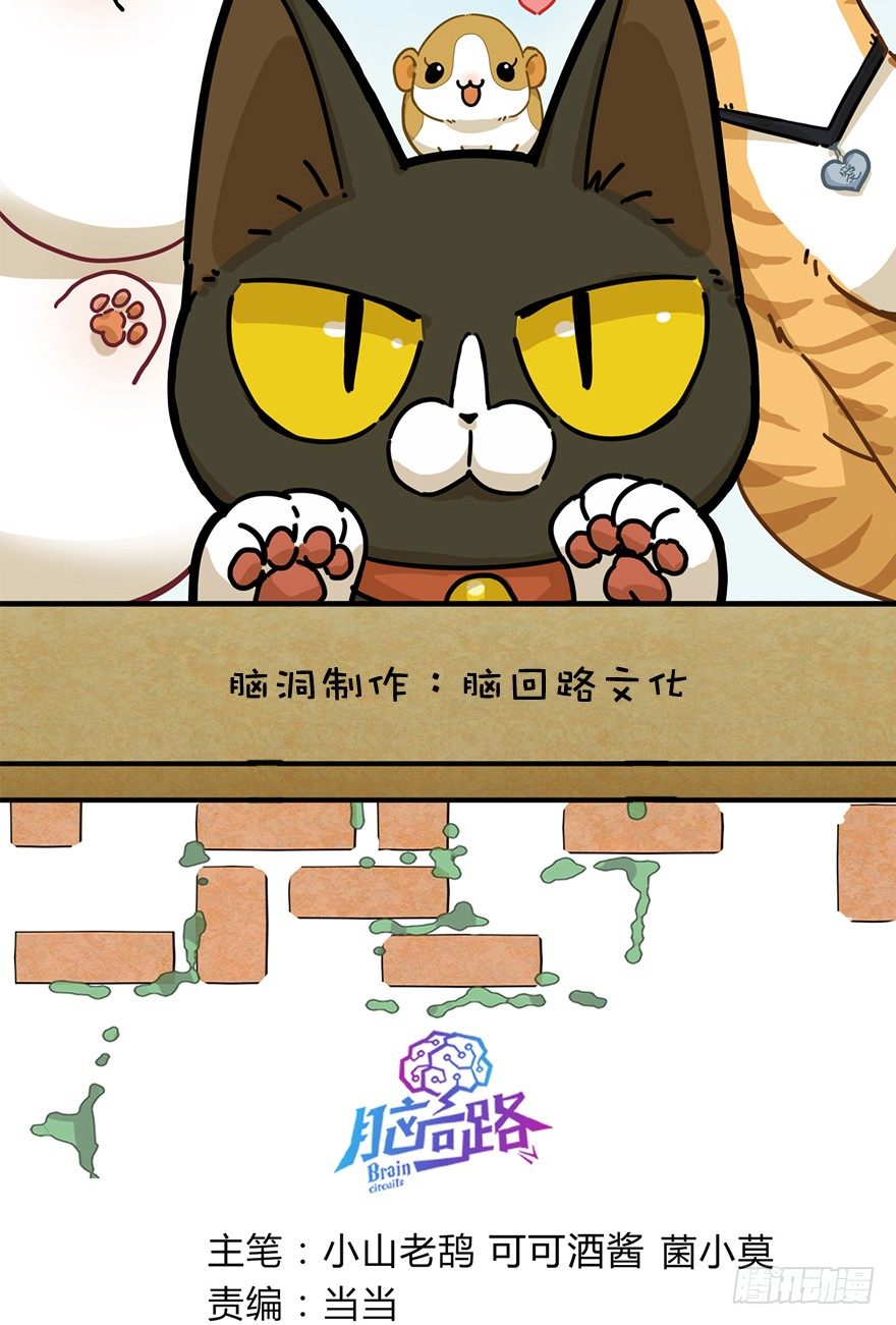 《回到过去变成猫外传》第29爪 猫圈鄙视链（下） 第2页
