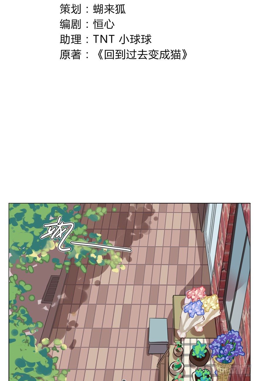 《回到过去变成猫外传》第29爪 猫圈鄙视链（下） 第3页