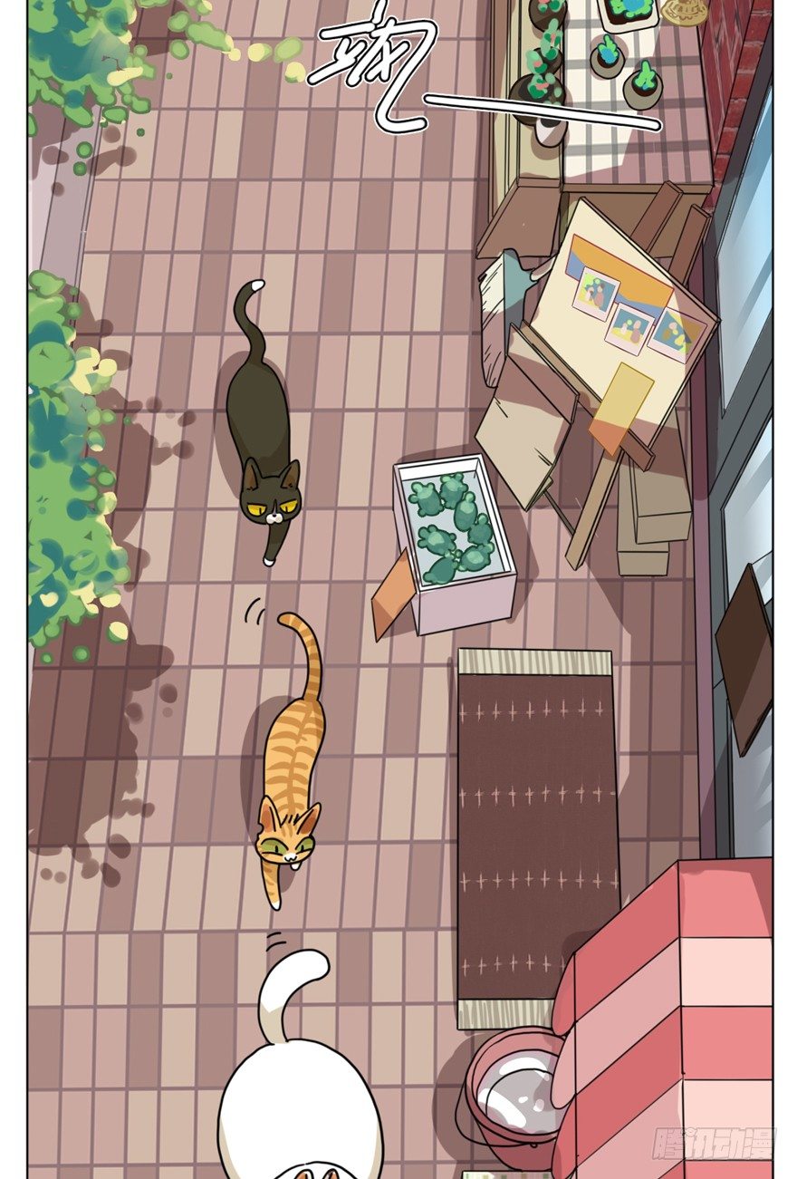 《回到过去变成猫外传》第29爪 猫圈鄙视链（下） 第4页