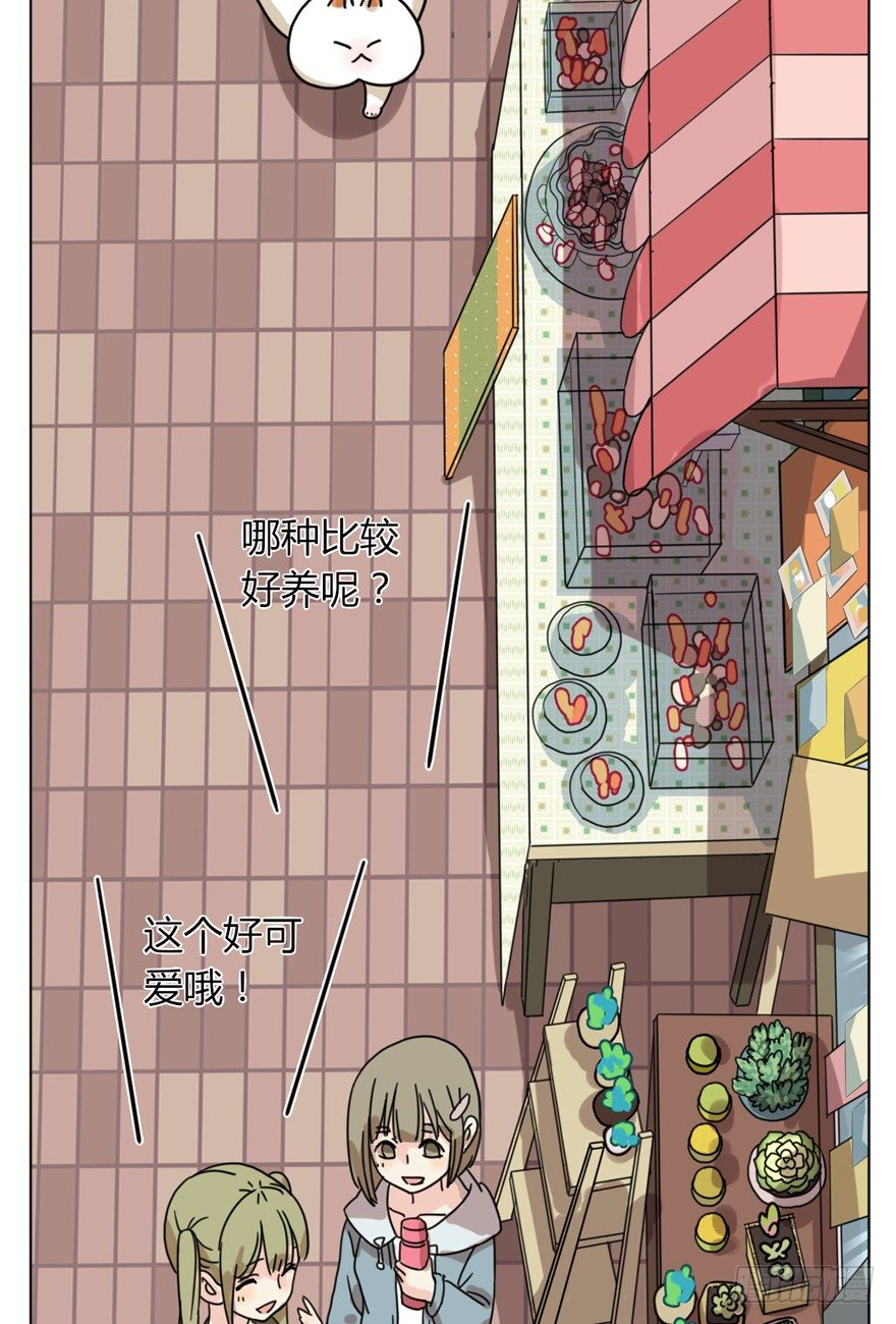 《回到过去变成猫外传》第29爪 猫圈鄙视链（下） 第5页