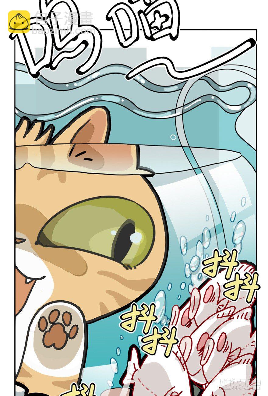 《回到过去变成猫外传》第29爪 猫圈鄙视链（下） 第8页