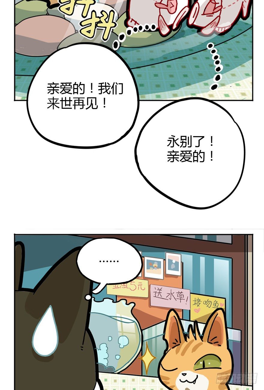 《回到过去变成猫外传》第29爪 猫圈鄙视链（下） 第9页
