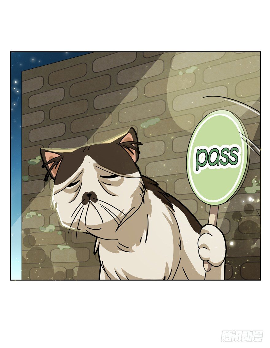《回到过去变成猫外传》第30爪 番外 黑炭称王 第10页