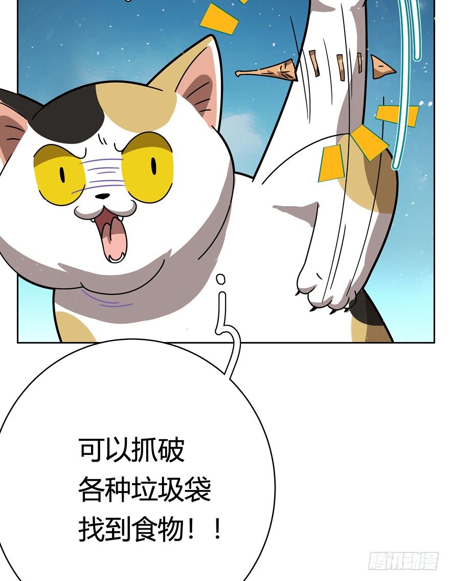 《回到过去变成猫外传》第30爪 番外 黑炭称王 第12页